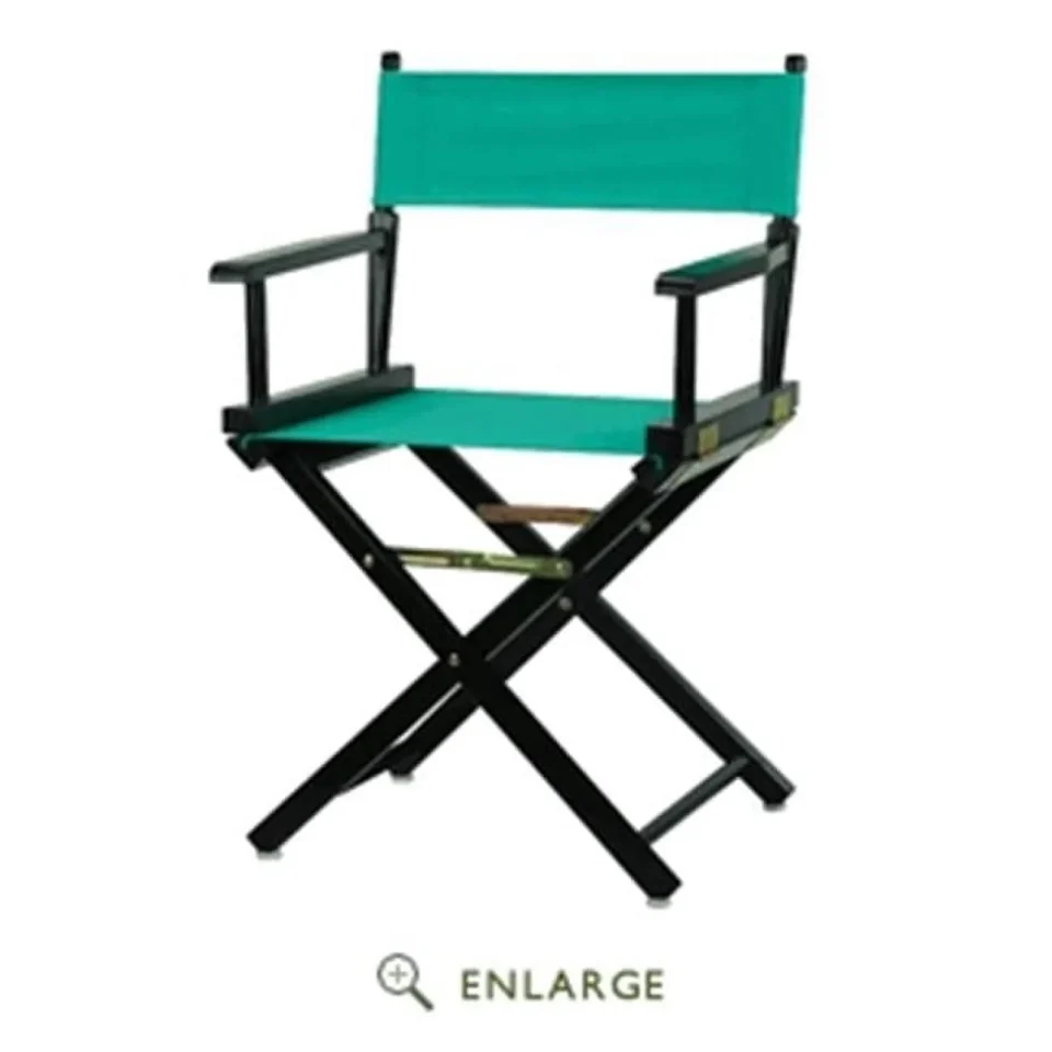Stainless Steel 200-02-021-17 18 in. Directors Chair Black Frame with Teal Canvas